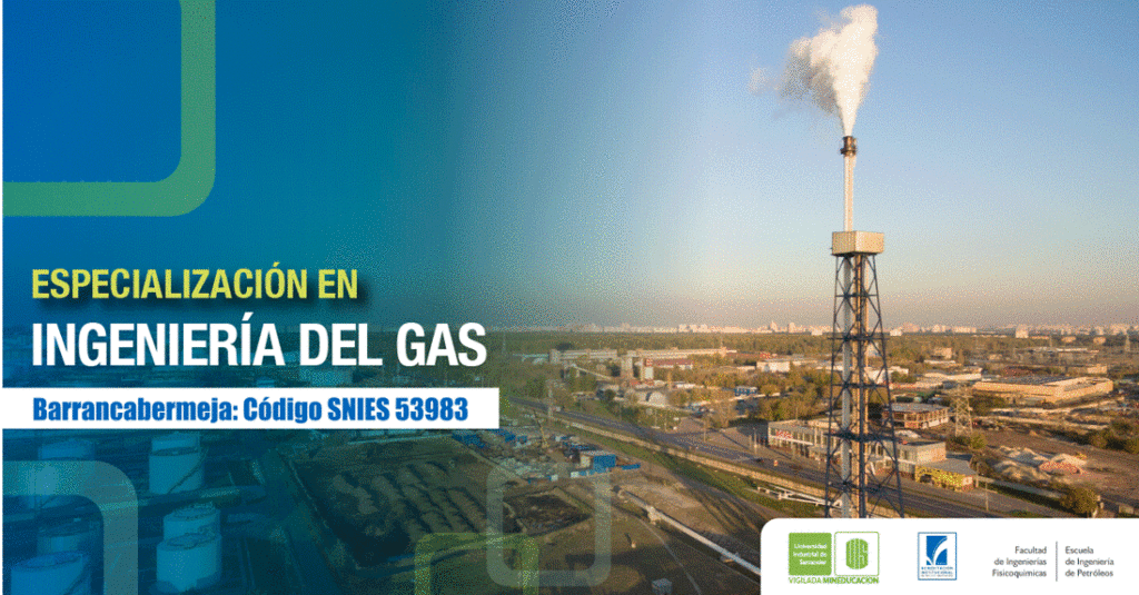 Ingeniería del Gas